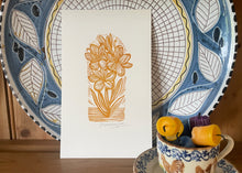 Load image into Gallery viewer, 'Hesperantha' Print