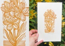 Load image into Gallery viewer, 'Hesperantha' Print