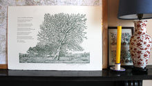 Load image into Gallery viewer, 'Rodborough Hornbeam' Print