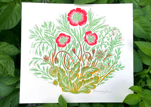 'Wild Poppy' Print