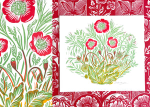 'Wild Poppy' Print