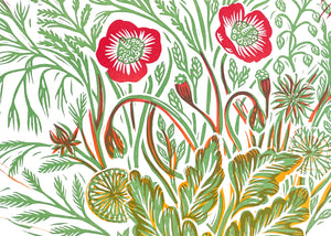 'Wild Poppy' Print