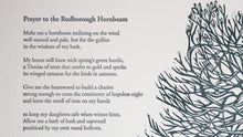 Load image into Gallery viewer, &#39;Rodborough Hornbeam&#39; Print
