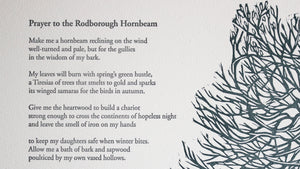 'Rodborough Hornbeam' Print